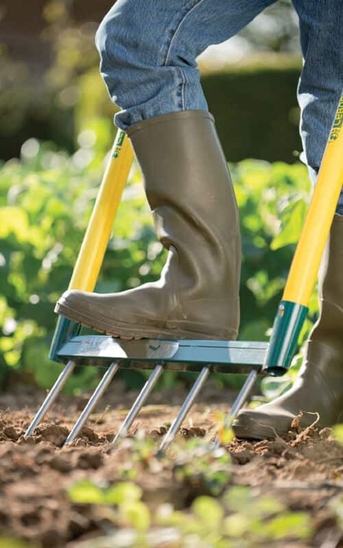 Garden brico shop biogrif 5 dents Leborgne
