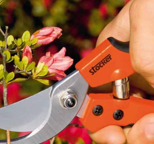 Garden brico shop secateur B300 Stocker