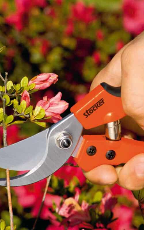 Garden brico shop secateur B300 Stocker