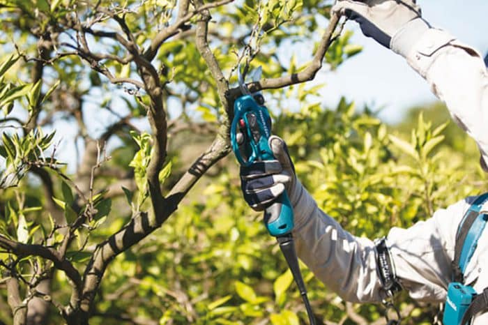 Garden brico shop secateur DUP361 Makita